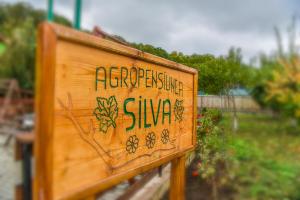 Galeriebild der Unterkunft Pensiunea Silva Home in Luncaviţa