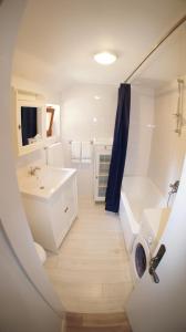 ein Bad mit einem Waschbecken, einem WC und einer Dusche in der Unterkunft Holiday home Korta in Mali Ston
