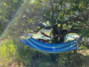 a blue hammock hanging from a tree at Chiclana Mobile House - Piscina , Wi-Fi, Relax in Chiclana de la Frontera