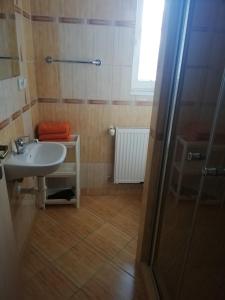 Aparmány Loučná nad Desnou tesisinde bir banyo