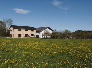 a house in the middle of a field of flowers at Ferienhaus Schmidhuber in Chieming