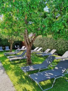 Zahrada ubytování Hotel Alpina