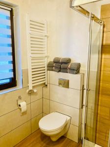 a bathroom with a toilet and a shower at Domek Orawski in Zubrzyca Dolna