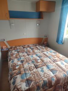 1 dormitorio con 1 cama grande en una habitación en Mobil home climatisé au Domaine Lalande à Mimizan, en Mimizan