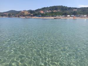 una gran masa de agua con una playa en el fondo en Apartments Kornati, en Ždrelac