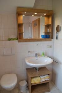 a bathroom with a sink and a toilet and a mirror at Pichler Roswitha in Bad Endorf