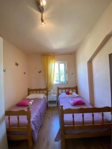 um quarto com 2 camas e uma janela em Private Villa Miletić em Donje Ogorje