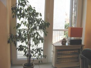 Posedenie v ubytovaní Studio apartment in Novi Vinodolski with terrace, air conditioning, WiFi 4208-2