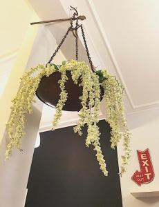 Φωτογραφία από το άλμπουμ του Luxuriously Central Studio in the Heart of Athens στην Αθήνα