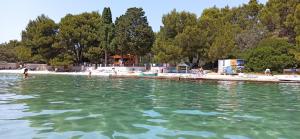 un grupo de personas en el agua en una playa en Apartments Kornati, en Ždrelac