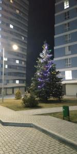 Drzewo świąteczne przed wysokim budynkiem w obiekcie Апартаменты премиум класса у цирка w Kiszyniowie