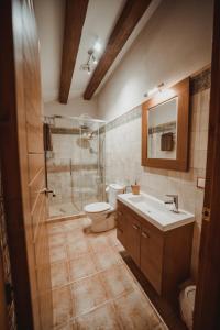 a bathroom with a toilet and a sink and a shower at Ca La Leonor, Ecoturisme Terra Alta in Bot