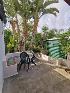 une chaise noire assise sur une terrasse avec des palmiers dans l'établissement Aquilone Residence, à Stromboli