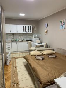 Kuchyň nebo kuchyňský kout v ubytování Apartman Djuric Paracin