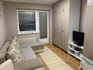 Μια τηλεόραση ή/και κέντρο ψυχαγωγίας στο Apartman Djuric Paracin