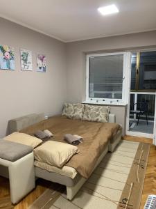 Χώρος καθιστικού στο Apartman Djuric Paracin