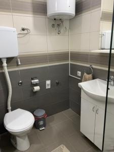 Ένα μπάνιο στο Apartman Djuric Paracin