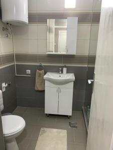 Ένα μπάνιο στο Apartman Djuric Paracin