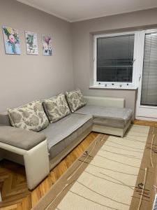 Χώρος καθιστικού στο Apartman Djuric Paracin