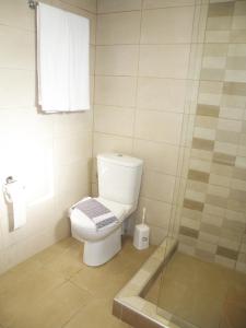 a bathroom with a toilet and a shower at Dream House in Theológos +18 photos