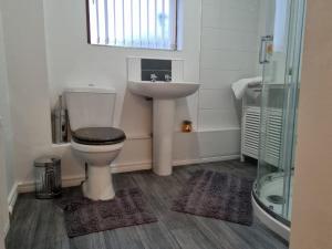 a bathroom with a toilet and a sink at The Townhouse, Derry City Centre. in Derry Londonderry