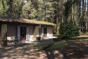 une petite maison au milieu d'une forêt dans l'établissement parco dei cimini, à Soriano nel Cimino