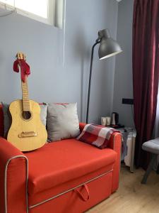 ペレスラヴリ・ザレスキーにあるPetrov Avenue Guest Houseのギター