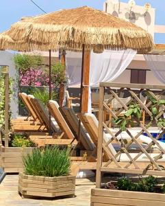 Gallery image of Olga Studios in Kokkíni Khánion