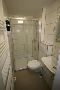 La salle de bains est pourvue d'une douche, de toilettes et d'un lavabo. dans l'établissement Gonsbach - Mikro-Apartment-26qm, à Mayence
