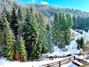 Príroda v okolí apartmánu