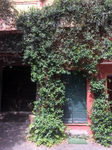 ein Gebäude mit einem großen Baum neben einer Tür in der Unterkunft Apartments Campo de Fiori in Rom