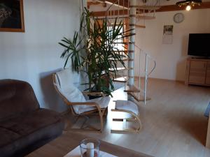 TV a/nebo společenská místnost v ubytování Ferienhaus Heuberger