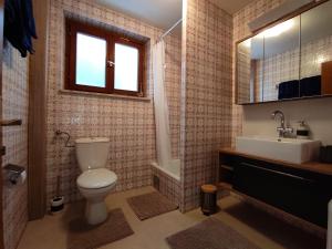 a bathroom with a toilet and a sink at Ferienhaus Sarah in Schruns-Tschagguns +26 photos