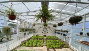 a greenhouse filled with plants and potted plants at Crowne Plaza Istanbul Oryapark by IHG in Istanbul