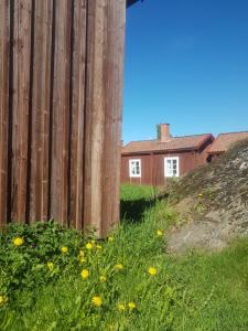 LövångerLövånger Kyrkstad的相册照片