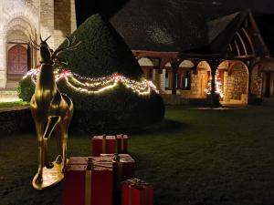 Zahrada ubytování DOMAINE ST GERMER