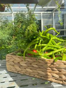 a basket filled with green vegetables in a garden at Crowne Plaza Istanbul Oryapark by IHG in Istanbul