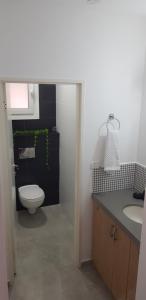 Vannituba majutusasutuses Snow View Suite סוויטת סנו וויו