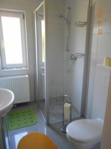 a bathroom with a shower and a toilet and a sink at Ferienhaus 3119 in Tossens in Butjadingen OT Tossens