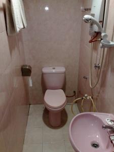bagno con servizi igienici rosa e lavandino di Tiong Nam Hotel a Pasir Gudang