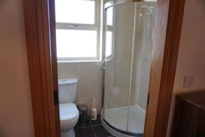 uma casa de banho com um WC e um chuveiro com uma janela em Charlies Lane Apartment em Donegal