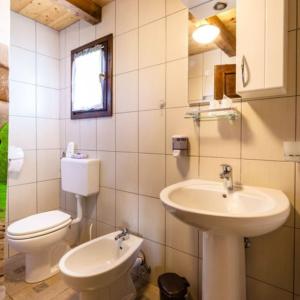 ein Bad mit einem WC und einem Waschbecken in der Unterkunft Holiday home in Rakovica with terrace, WiFi, washing machine 4488-2 in Rakovica