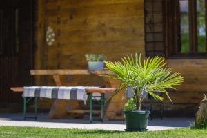Vonkajšia záhrada v ubytovaní Holiday home in Rakovica with terrace, WiFi, washing machine 4488-1