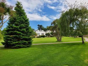 a house with a tree in a green yard at West Bay Cottages Yarmouth Isle of Wight in Yarmouth