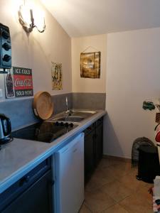 cocina con fregadero y encimera en Studio au milieu d une oliveraie Le Mas de la huppe, en Tourrettes-sur-Loup