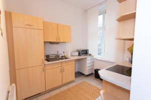 a kitchen with wooden cabinets and a sink at FullHouse - Halle - AB7 Apartments - City Center in Halle an der Saale