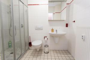 a bathroom with a toilet and a sink and a shower at FullHouse - Halle - AB7 Apartments - City Center in Halle an der Saale +35 photos