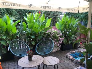 a patio with two chairs and a table and some plants at Alba Hotel in Jūrmala