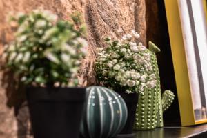 dos macetas sentadas en el alféizar de una ventana en Zone Hotel Ipoh, en Ipoh