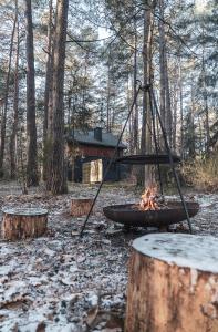 a fire pit in the middle of a forest at Domek z SAUNĄ na leśnej działce w Wildze in Wilga